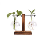 Florero Hidropónico de Vidrio con Soporte de Madera