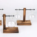 Florero Hidropónico de Vidrio con Soporte de Madera