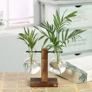 Florero Hidropónico de Vidrio con Soporte de Madera
