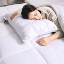 Almohada Pluma de Ganso Like 48x74 con Algodón