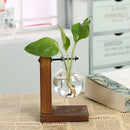 Florero hidropónico de vidrio con soporte de madera em ambiente de home office elegante
