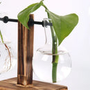 Florero hidropónico de vidrio con soporte de madera com detalhe do encaixe e acabamento