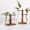 Florero hidropónico de vidrio con soporte de madera em set minimalista para mesa